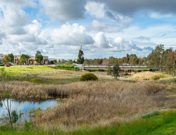 Home Page Surroundings_0000_Nature Reserve (1)